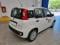 preview Fiat Panda #1