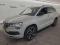 preview Skoda Karoq #0