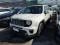 preview Jeep Renegade #0