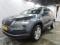 preview Skoda Karoq #0