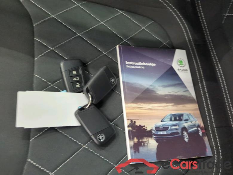 SKODA Karoq 110 kW #6