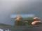 preview Skoda Citigo #1