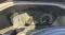 preview Ford Transit Custom #0