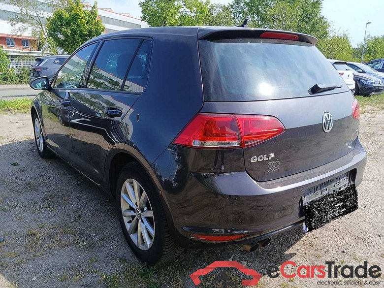 Vw Lounge 4Motion Golf VII Lim. #2