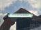 preview Citroen C3 Aircross #5