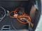 preview Peugeot 2008 #0