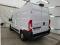 preview Fiat Ducato #1