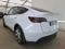 preview Tesla Model Y #2