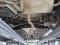 preview Ford Kuga #4