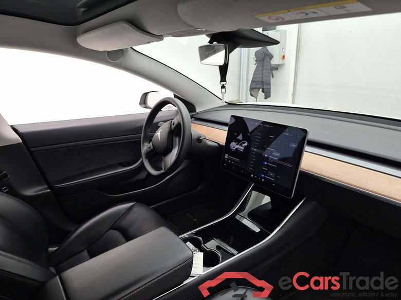 Tesla Model 3 Stnd.RWD Plus 60 kWh #3