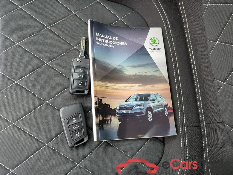 SKODA Karoq 110 kW #6