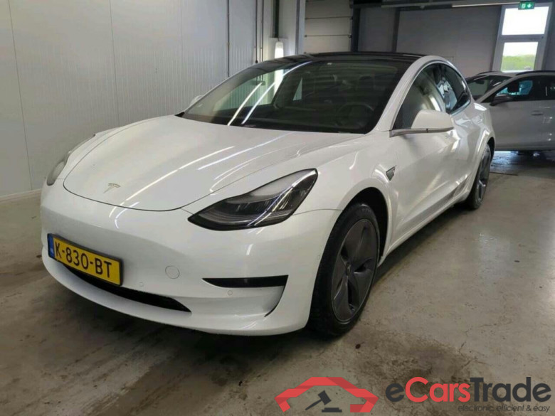 Tesla Model 3 Stnd.RWD Plus 60 kWh #1