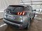 preview Peugeot 3008 #2