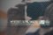 preview Ford Transit Custom #4