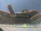 preview Volkswagen Touran #3