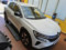 preview Renault Austral #1