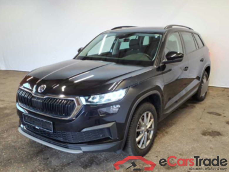 Kodiaq Ambition 2.0 TDI 110KW AT7 E6d #1