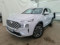 preview Hyundai Santa Fe #0